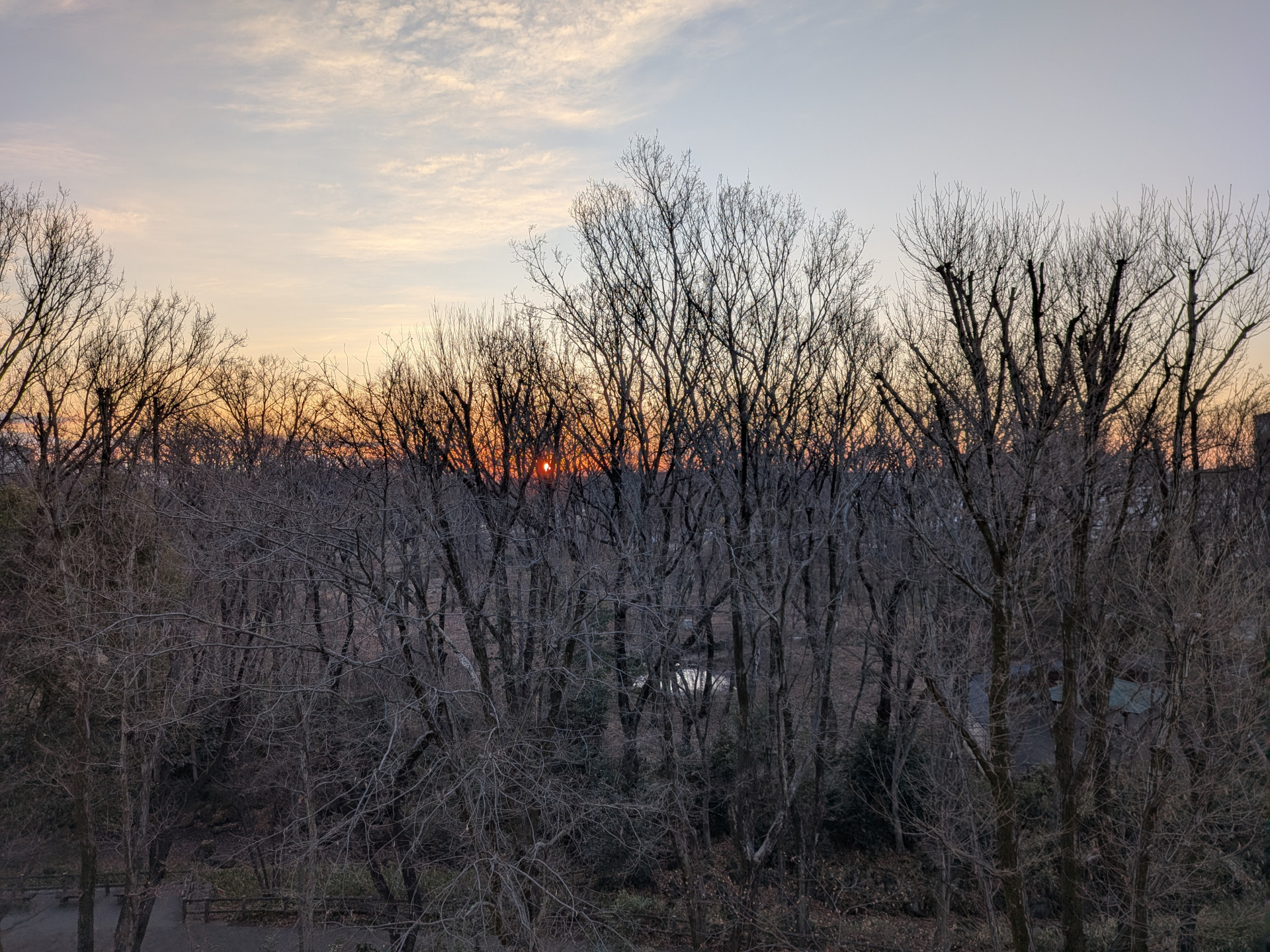 PXL_20260203_214700981