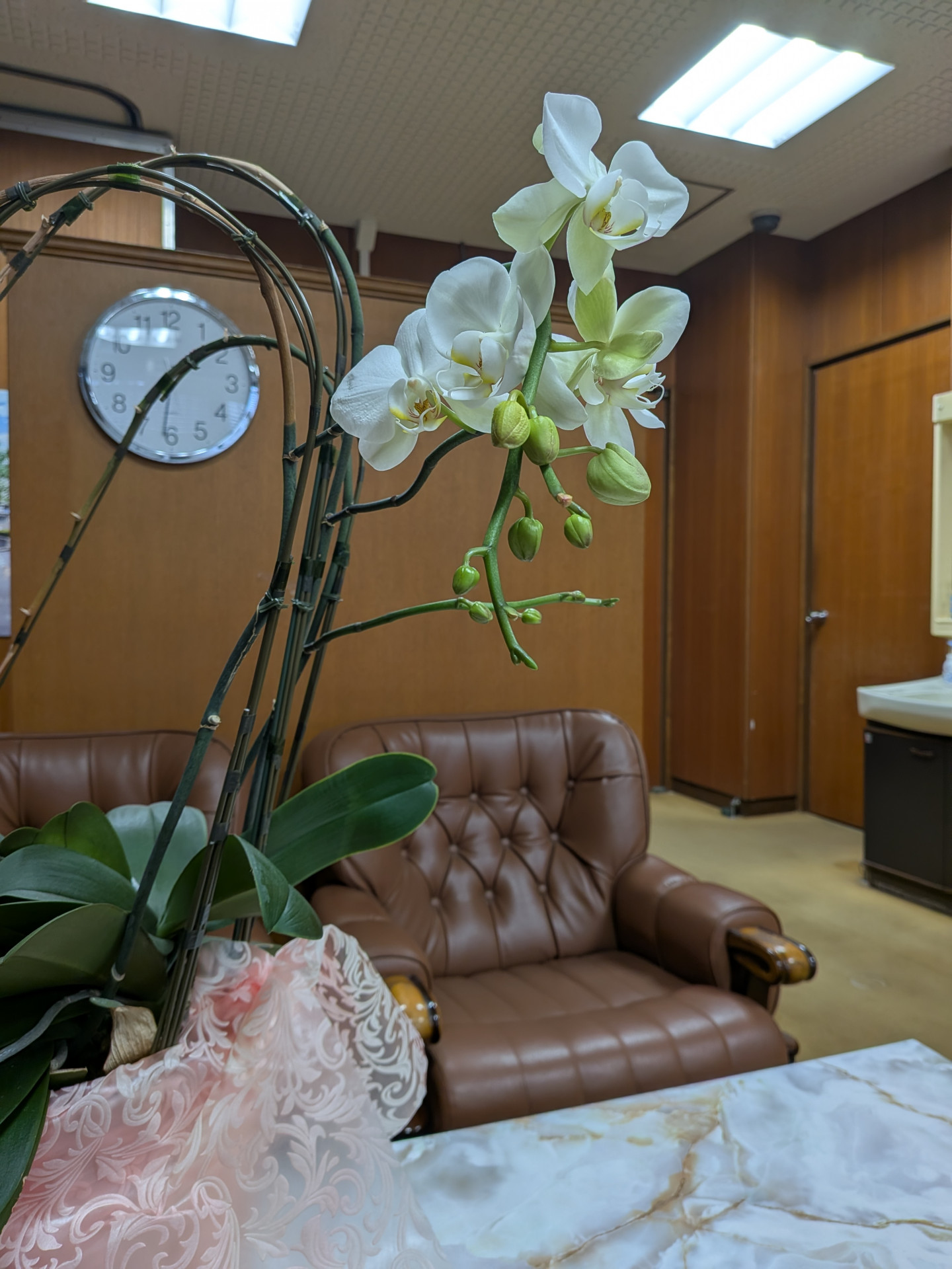 PXL_20260303_223018553