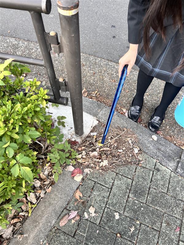 f52bbc93-3fe1-45cf-8e7f-3291c29d2af6