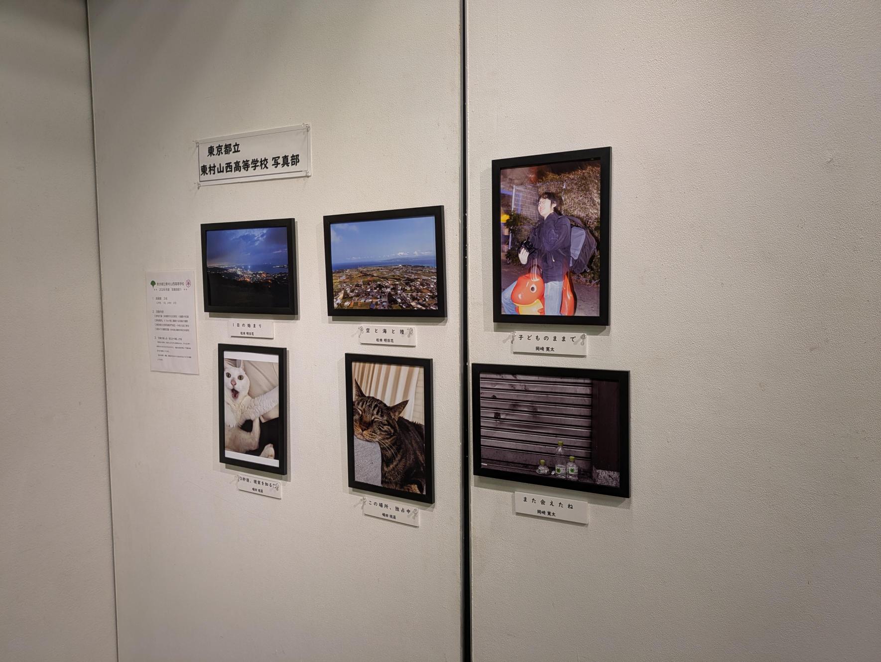 東村山支部写真展④