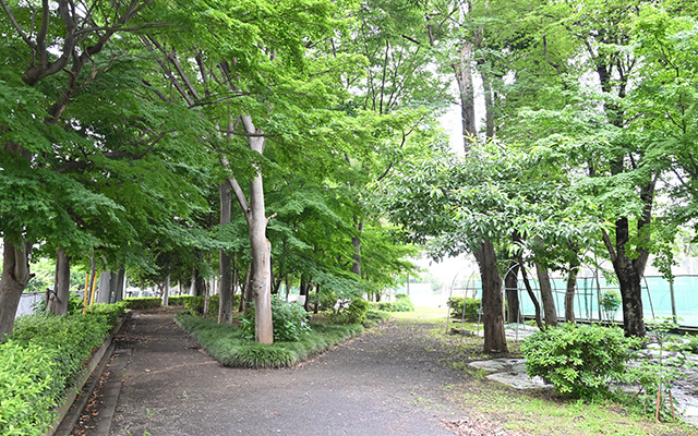 校内緑地（テニスコート横）の画像