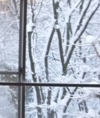 窓の外-冬
