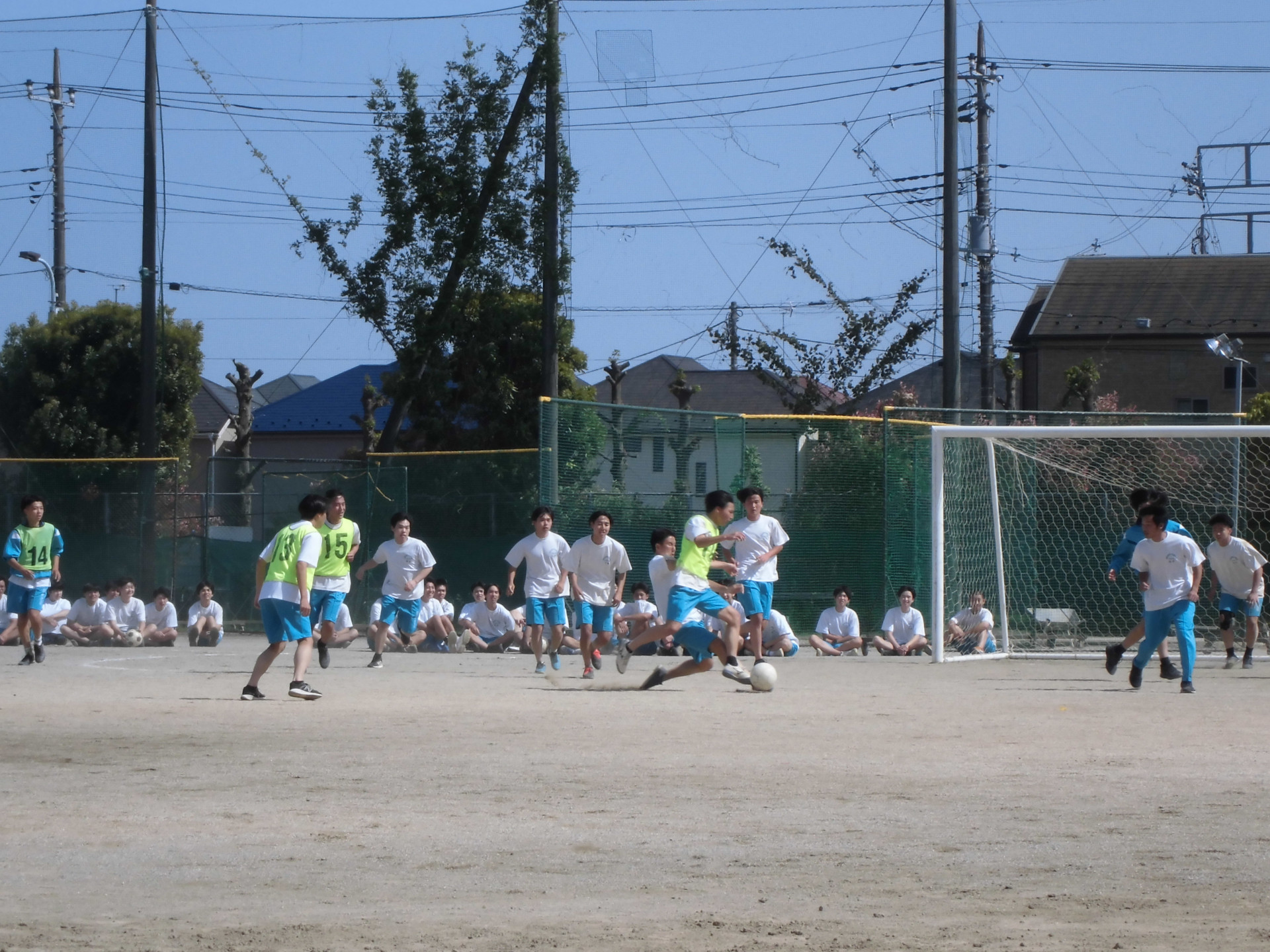 サッカー緑.JPG