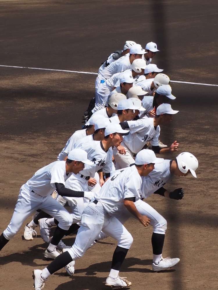 国内発送 第１０４回 全国高等学校野球選手権 パンフレット Grupoconcordia Com