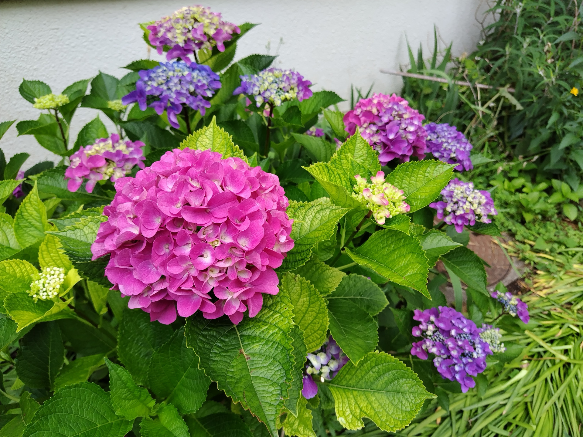 240610170112177.JPG