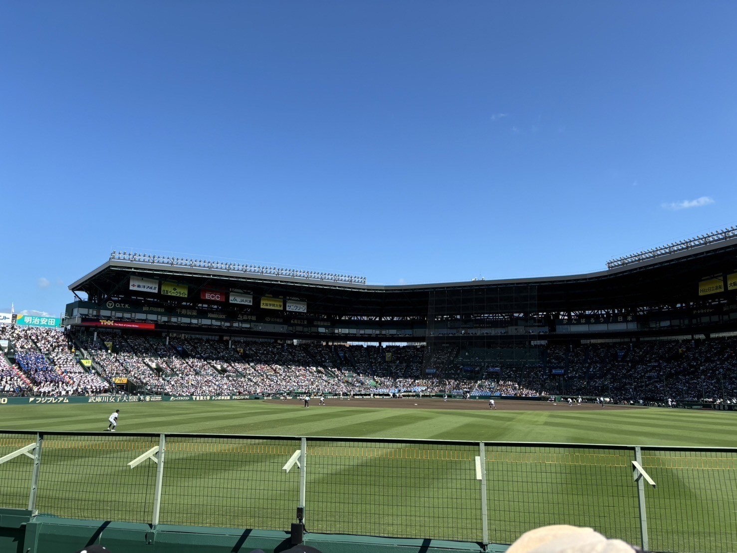 甲子園②