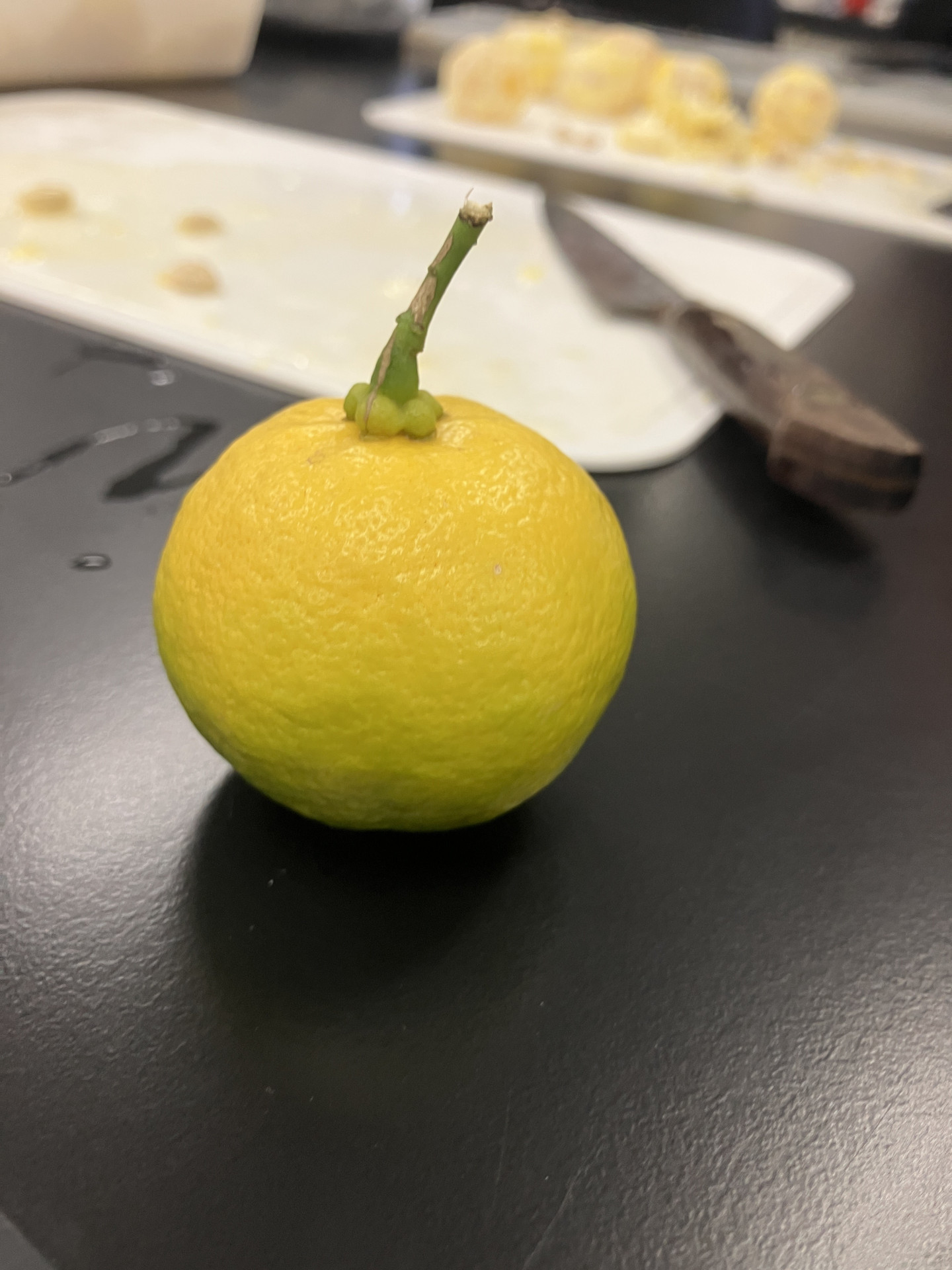 みかん①