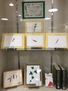 図書展示