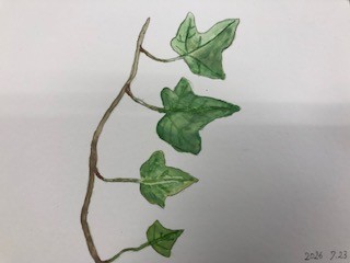 生徒作品３