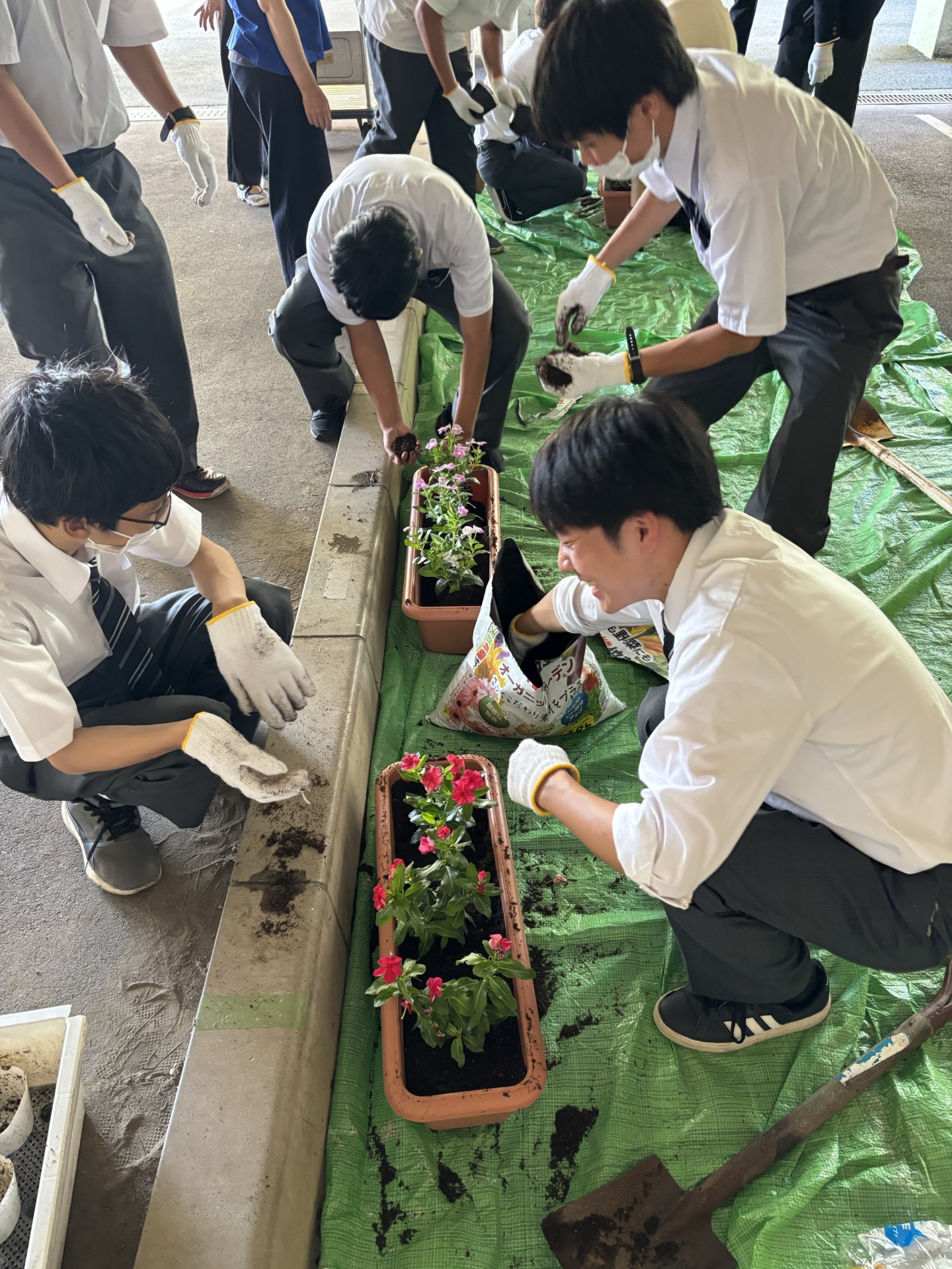 花いっぱい活動①