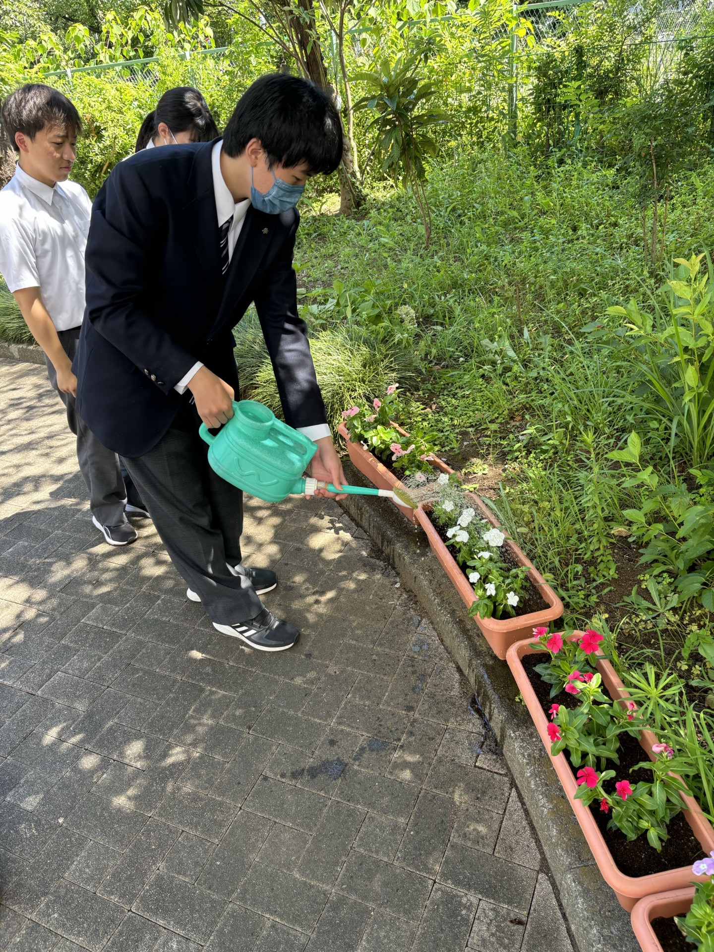 花いっぱい活動②