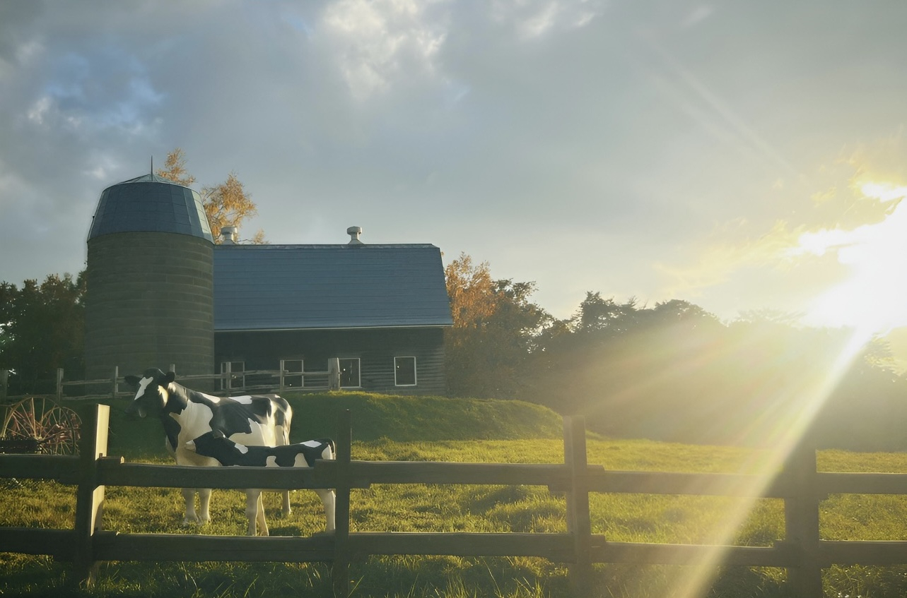 写真部入選作品　風と光と