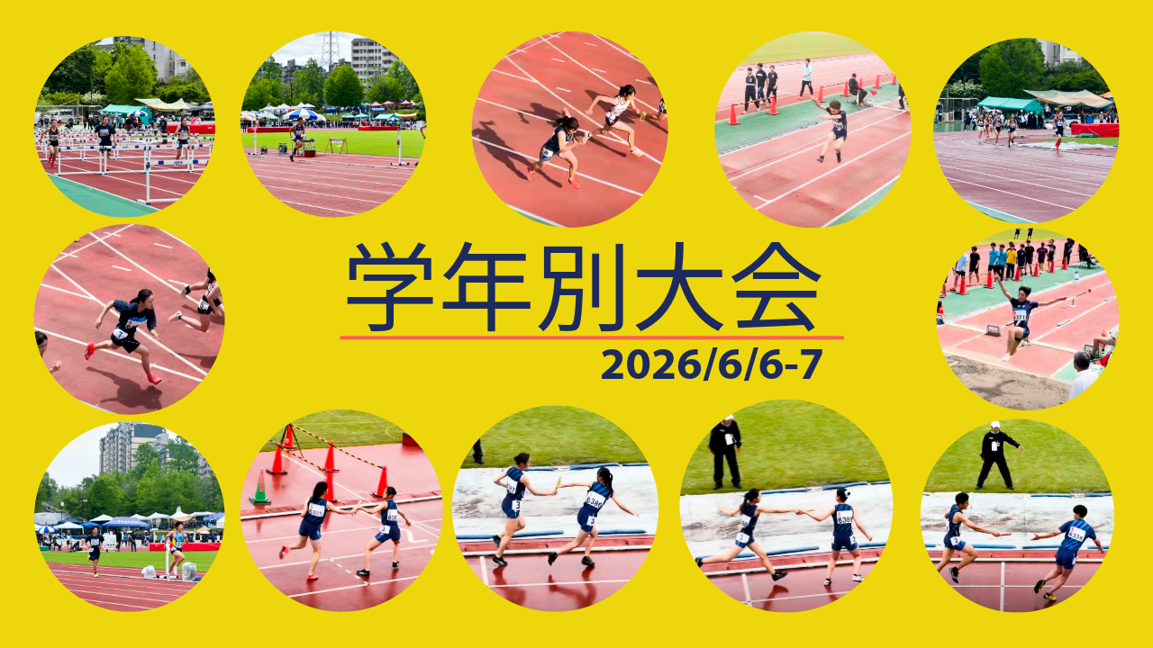 2026学年別