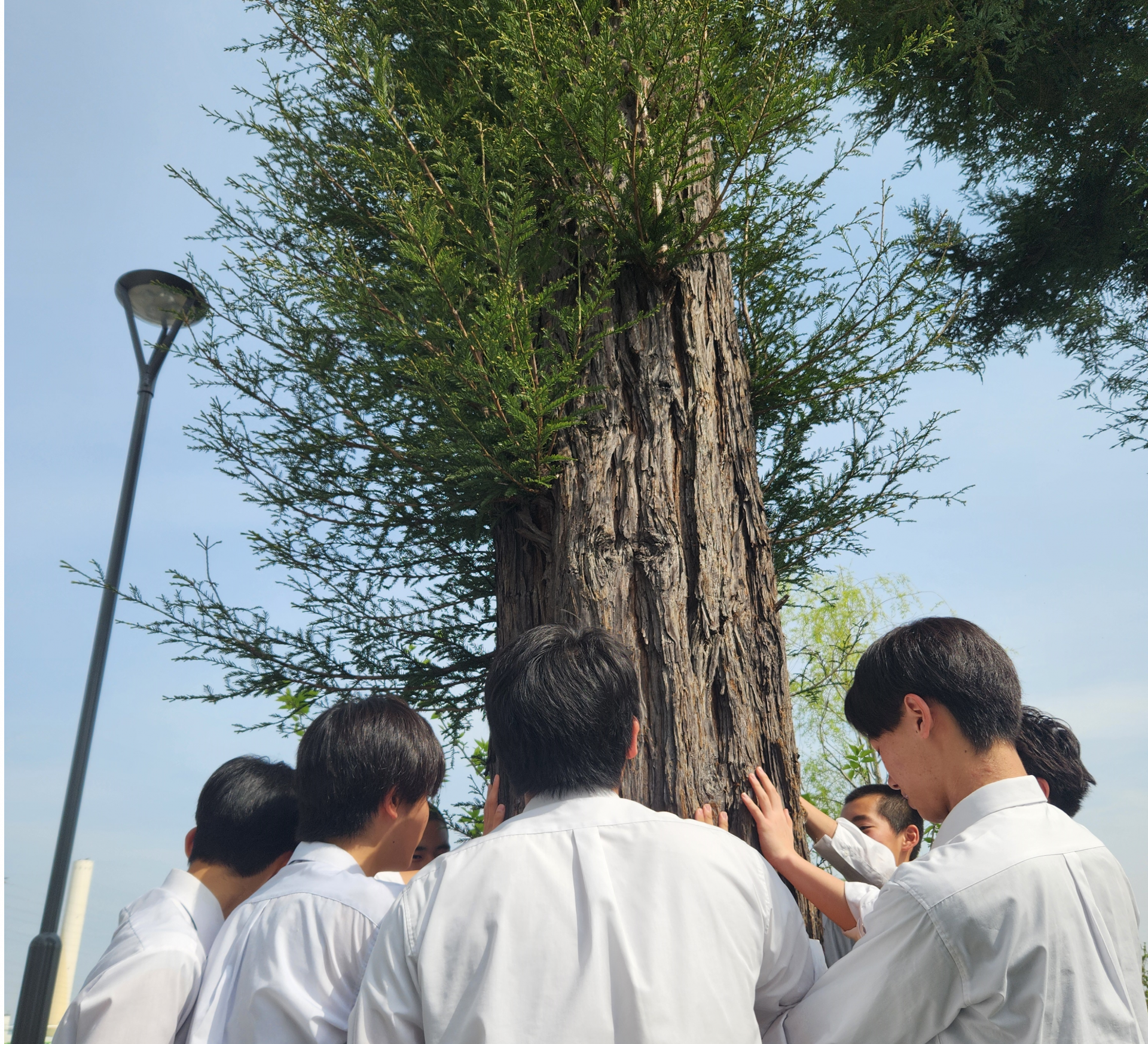 seibutu1