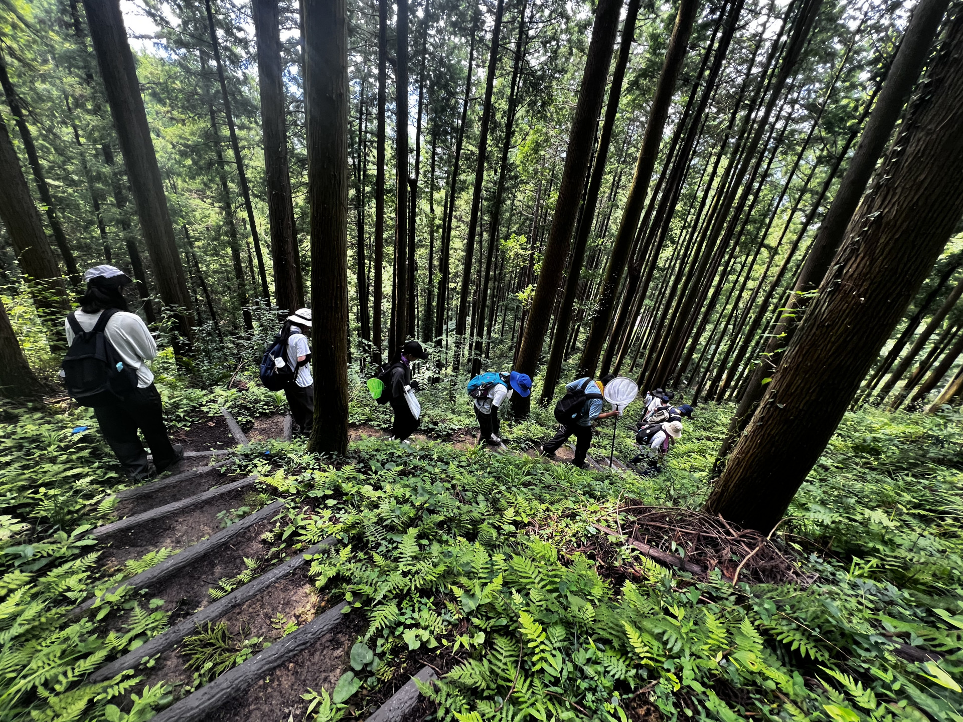 あきる野(1)
