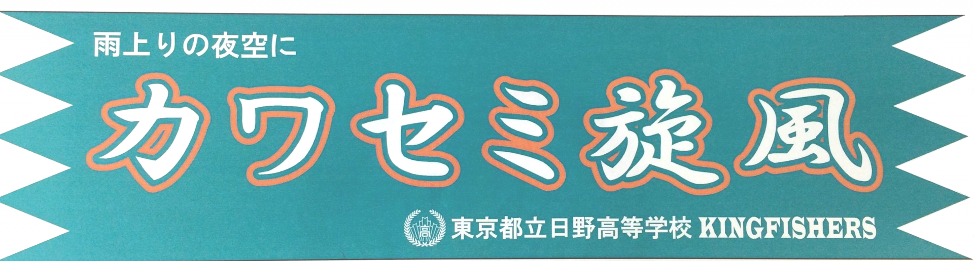 カワセミ旋風