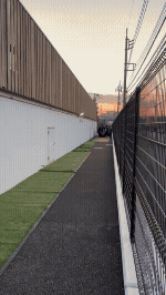 ビデオ-20260213-081705-866f19ff