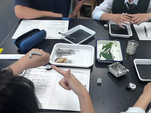 選択生物20260608(1)