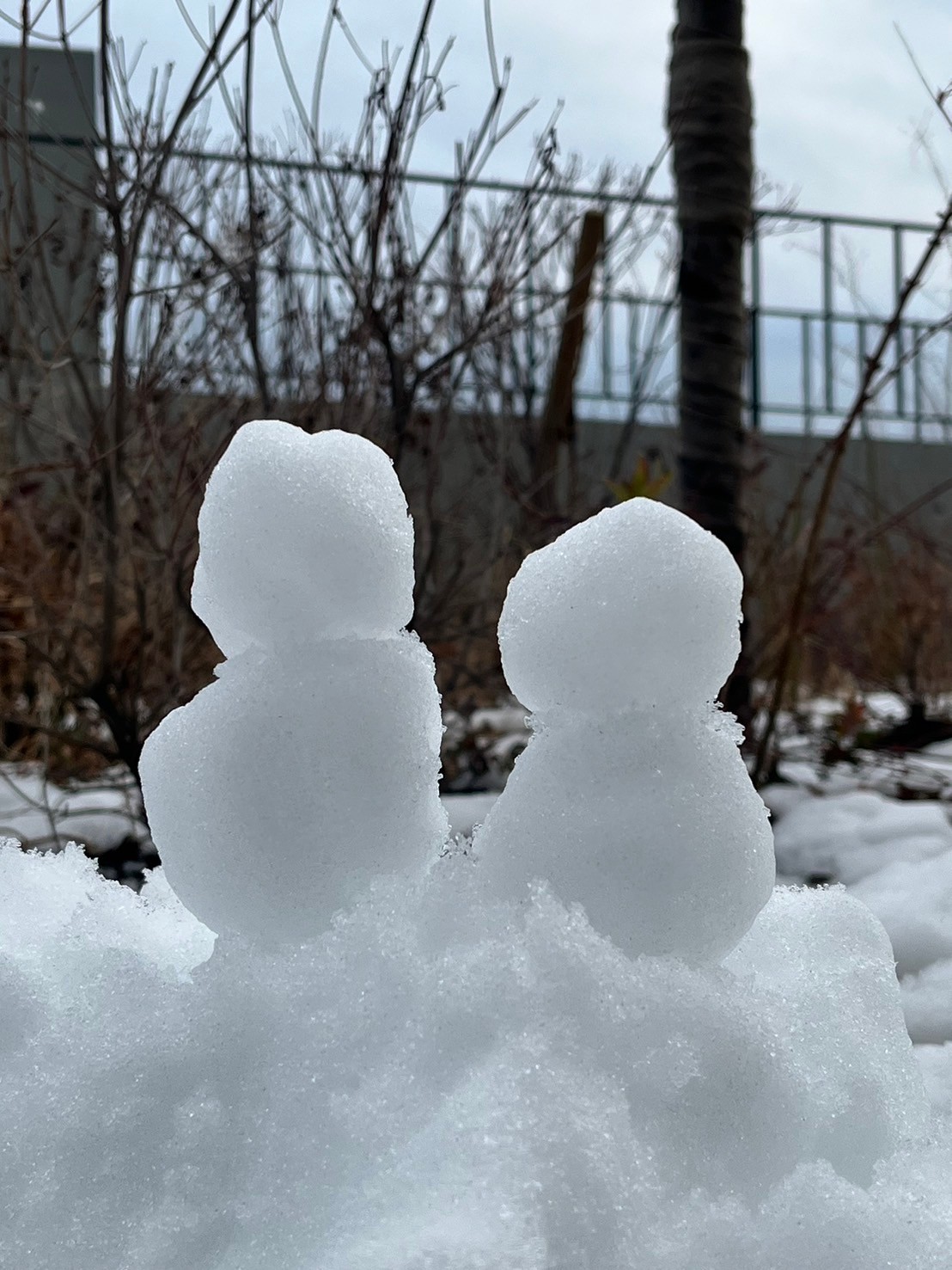 雪だるま