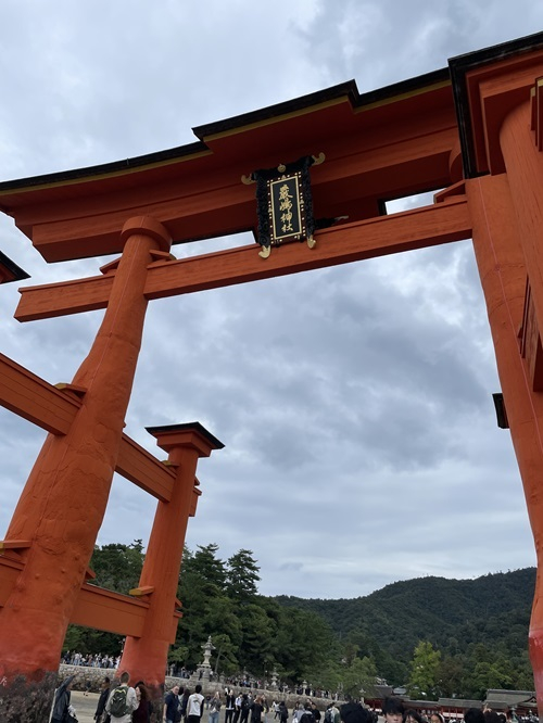 2025.10.22.top1-3(1)