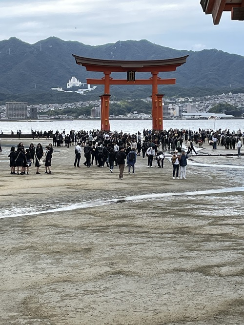 2025.10.22.top1-3(2)