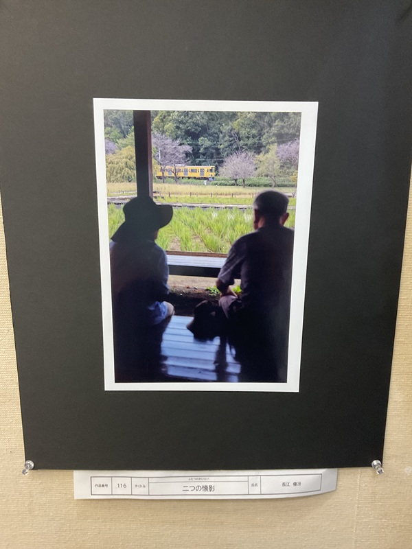 2025.12.15.shasin(1)