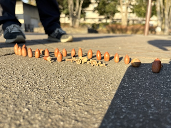 2026.02.02.volley(2)