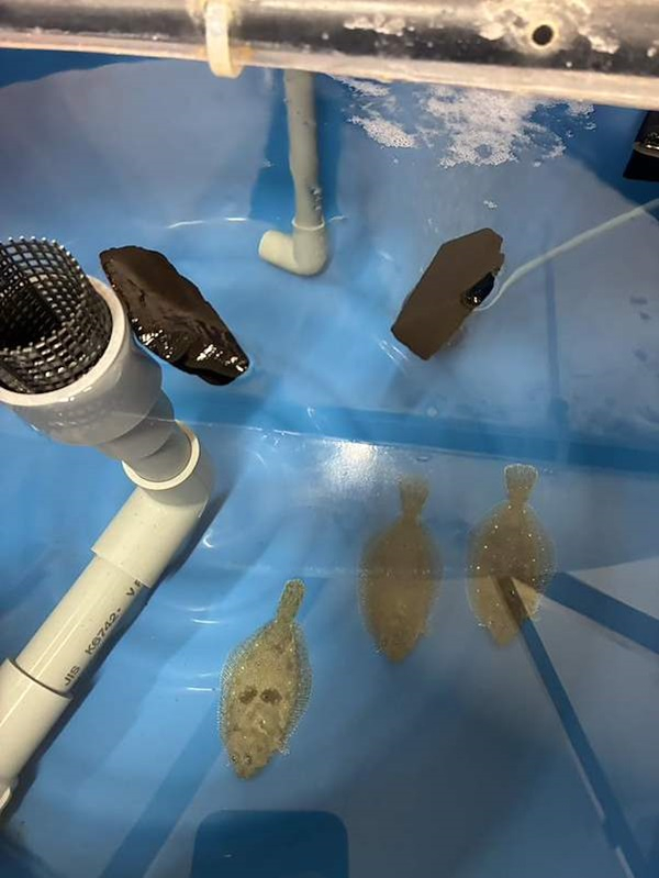 生物部_20260708
