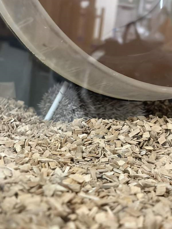 生物部_20260711_2