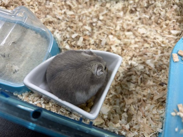 生物部_20260721_1