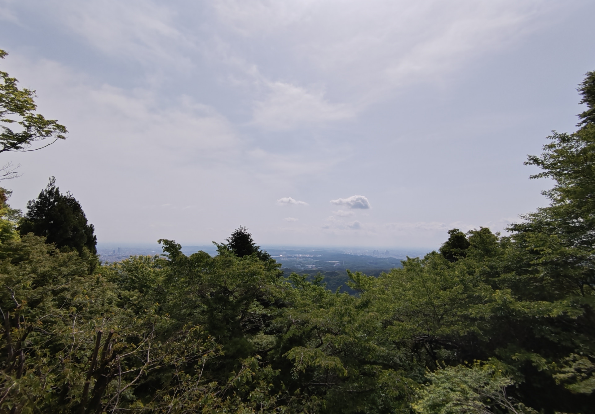 写真③_景色③_高尾山