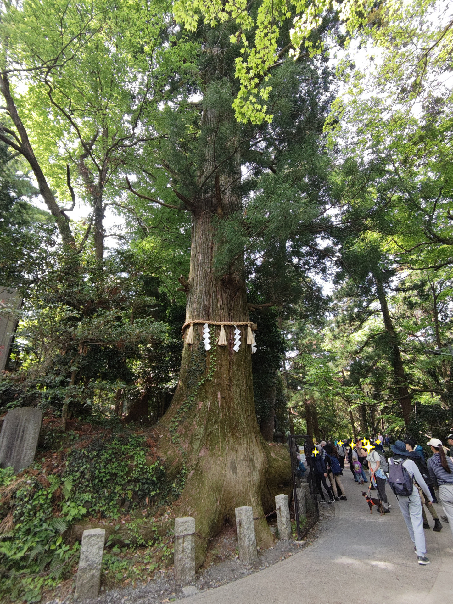 写真④_景色④_高尾山