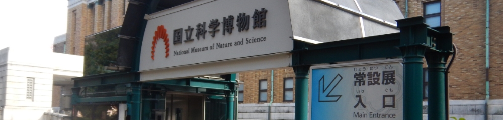 校外学習の写真
