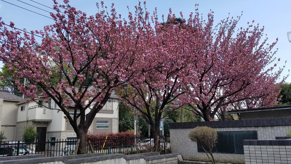 校舎の画像