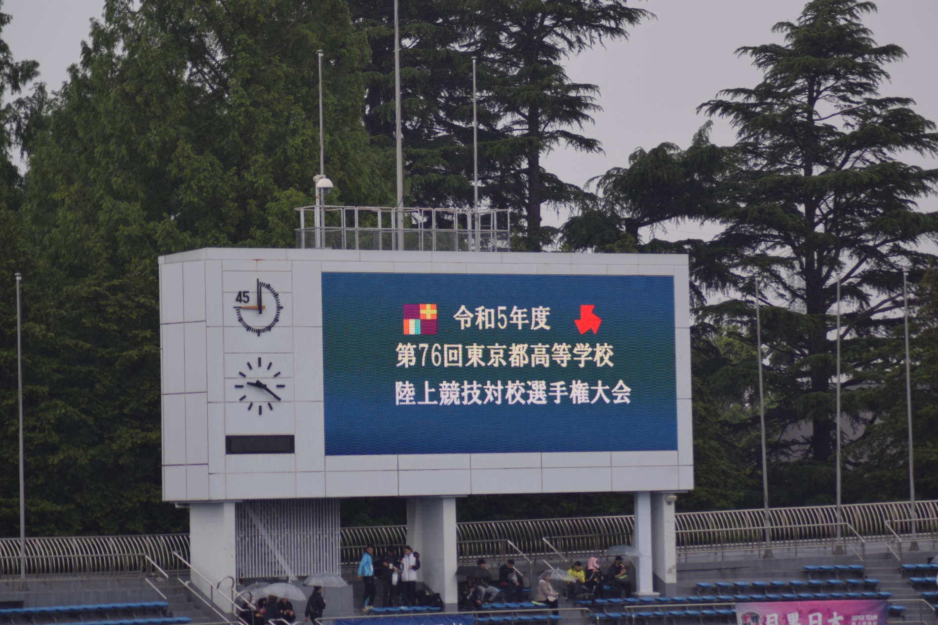 5.JPG