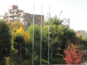 IMG_5199.JPG