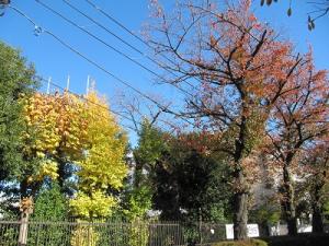 IMG_5202.JPG