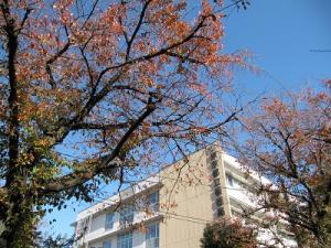 IMG_5204.JPG