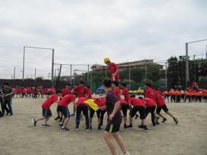 IMG_6187.JPG