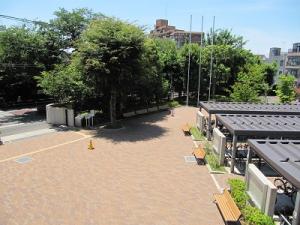 IMG_6476.JPG