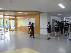 IMG_7154.JPG