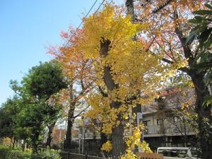 IMG_7441.JPG