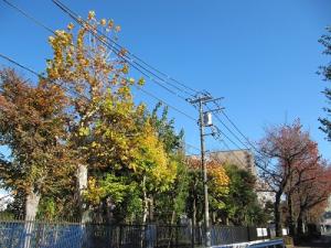 IMG_7446.JPG