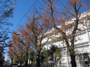 IMG_7442.JPG