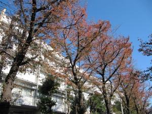 IMG_7444.JPG
