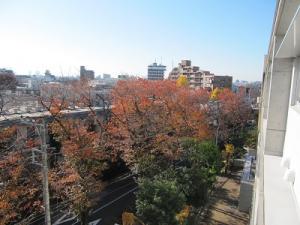 IMG_7450.JPG