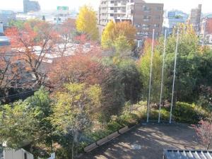 IMG_7449.JPG