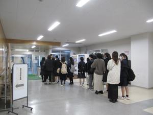 IMG_7487.JPG