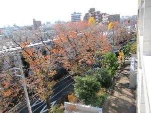 IMG_7502.JPG