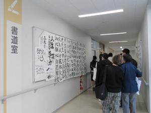 IMG_7505.JPG